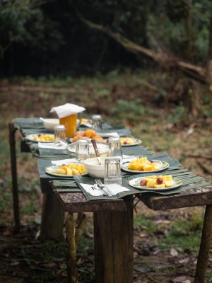 Alimentos selva amazónica ecuatoriana