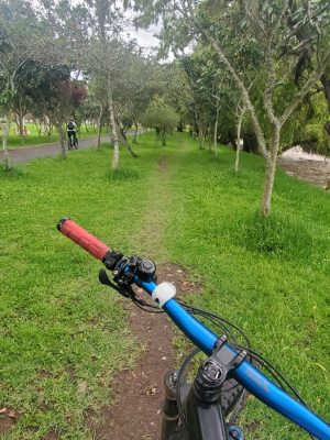 EBIKES senderos en la ciudad