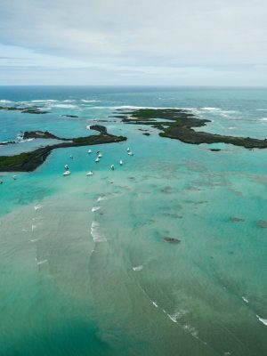 Galápagos Isla Isabela