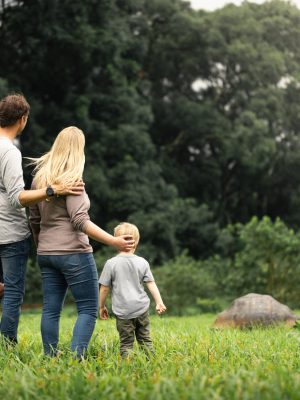 Galápagos turismo tortugas