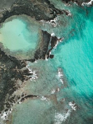 Isla Isablea Galápagos