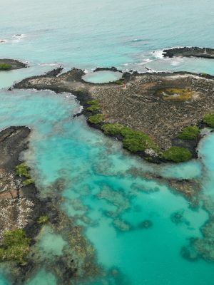 Islote Las Tintoreras Galápagos