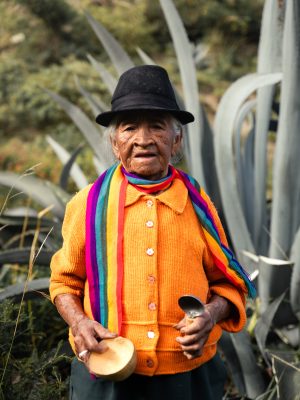 Mishquera ecuatoriana cultura andes