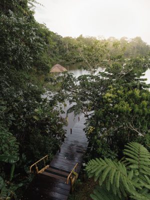 Sendero ecológico amazonía ecuatoriana 2
