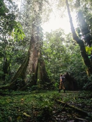 Turismo sendero ecológico amazonía ecuatoriana