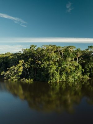 Vista aerea selva amazónica ecuatoriana