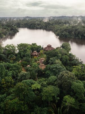 Vista aerea selva amazónica ecuatoriana vivienda comunidad