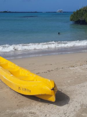 estrellas isabela (3 de 19)