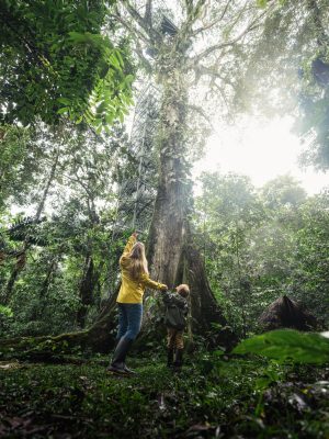 sendero ecológico amazonía ecuatoriana